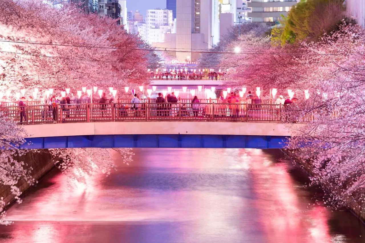 شقة Shibuya Hana House طوكيو اليابان